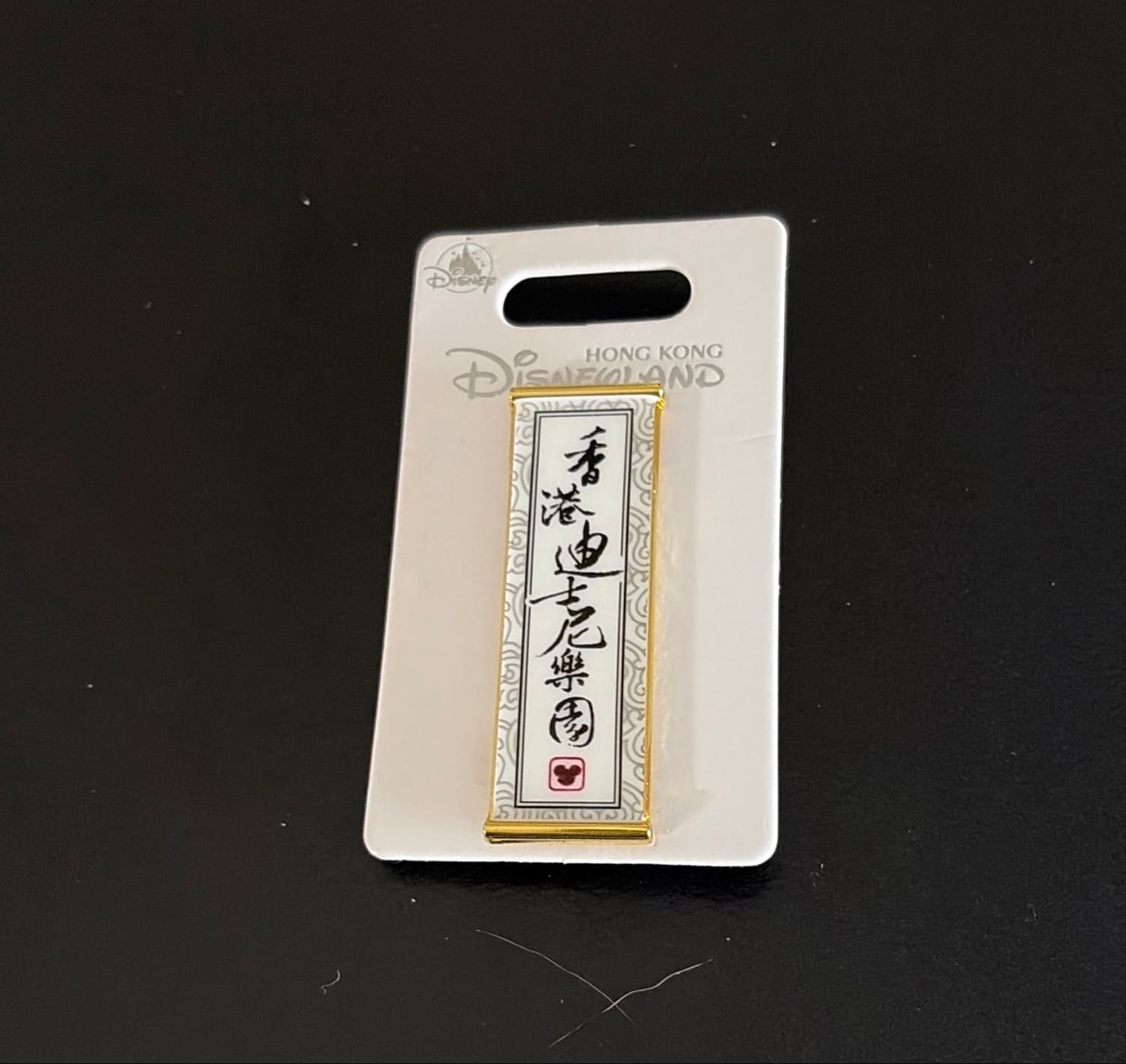 Hong Kong Disneyland Chinese Calligraphy Pin