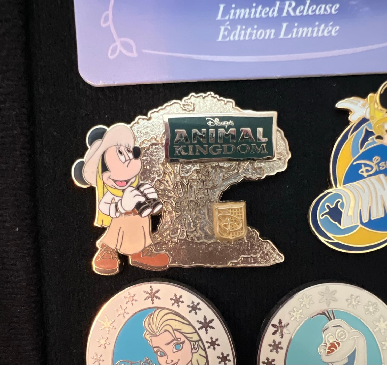 Animal Kingdom Retro Logo - Minnie with Binoculars front