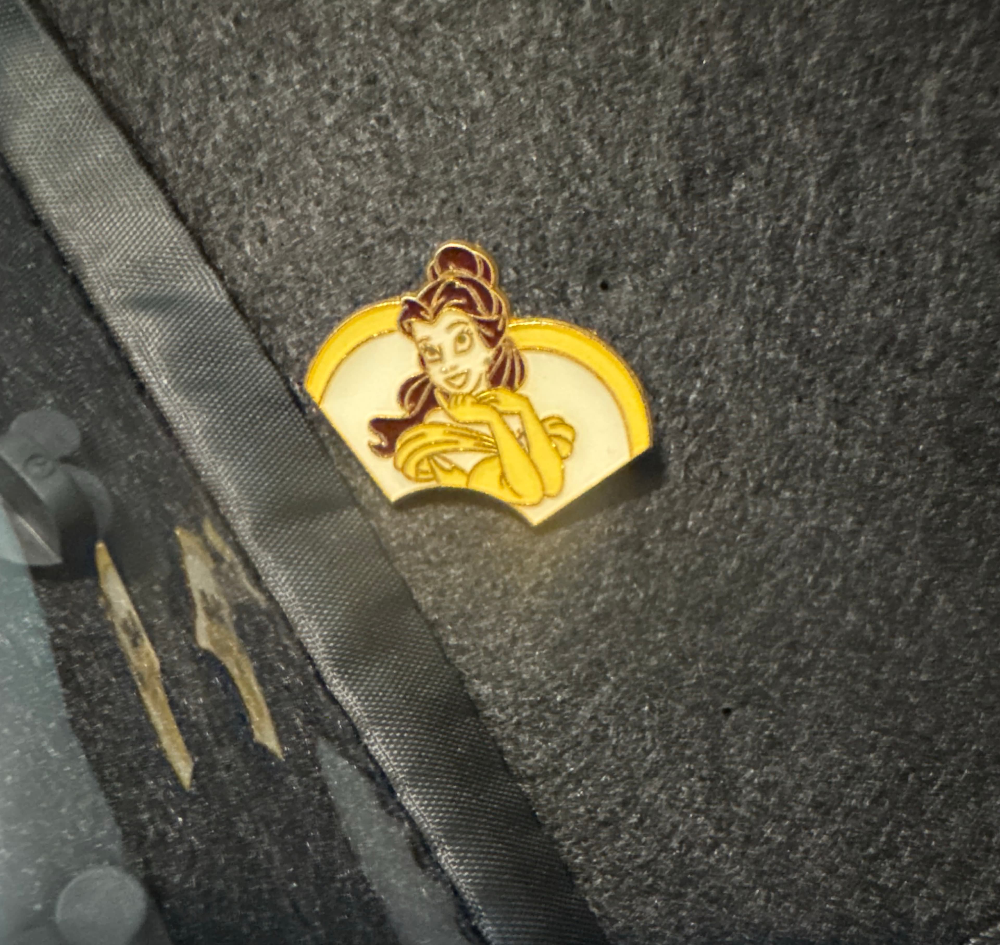 Disney Auctions (P.I.N.S.) - Fan Club Series