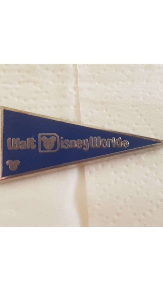 Hidden Mickey 2010 WDW - Blue Pennant front