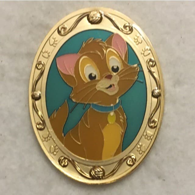 Cat Portraits - Oliver front